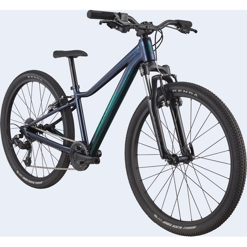 CANNONDALE ( キャノンデール ) キッズバイク KIDS TRAIL 24 ( キッズ