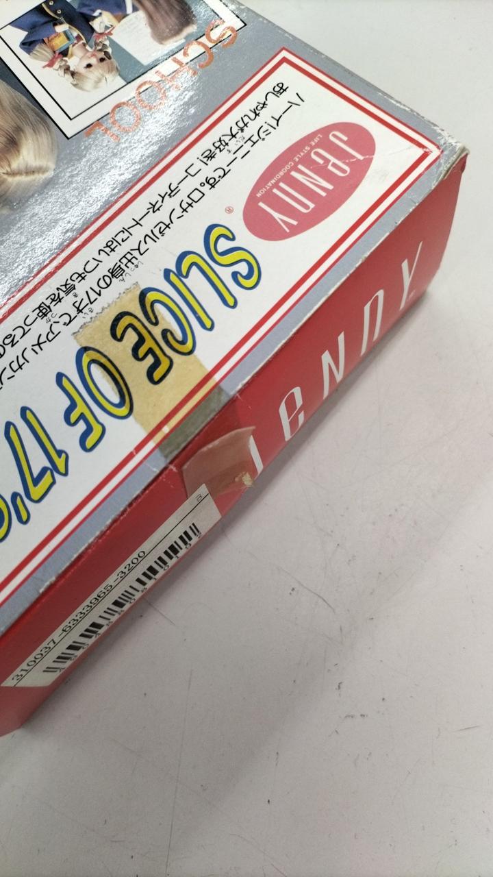 ビカクシダ セット ジェニー 金童 OMG P. willinckii 'Elves' レアな