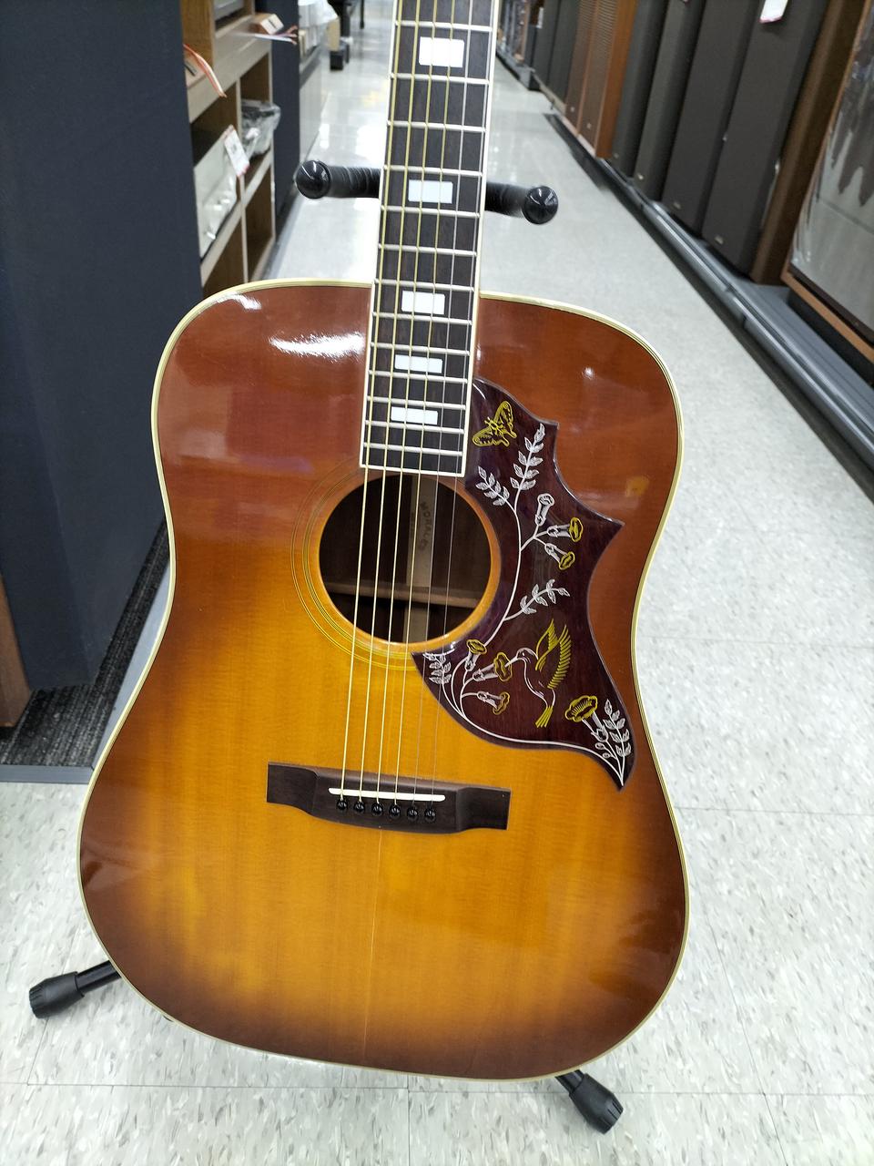 MORALES|アコースティックギター|【ハードオフ公式通販】オフモール