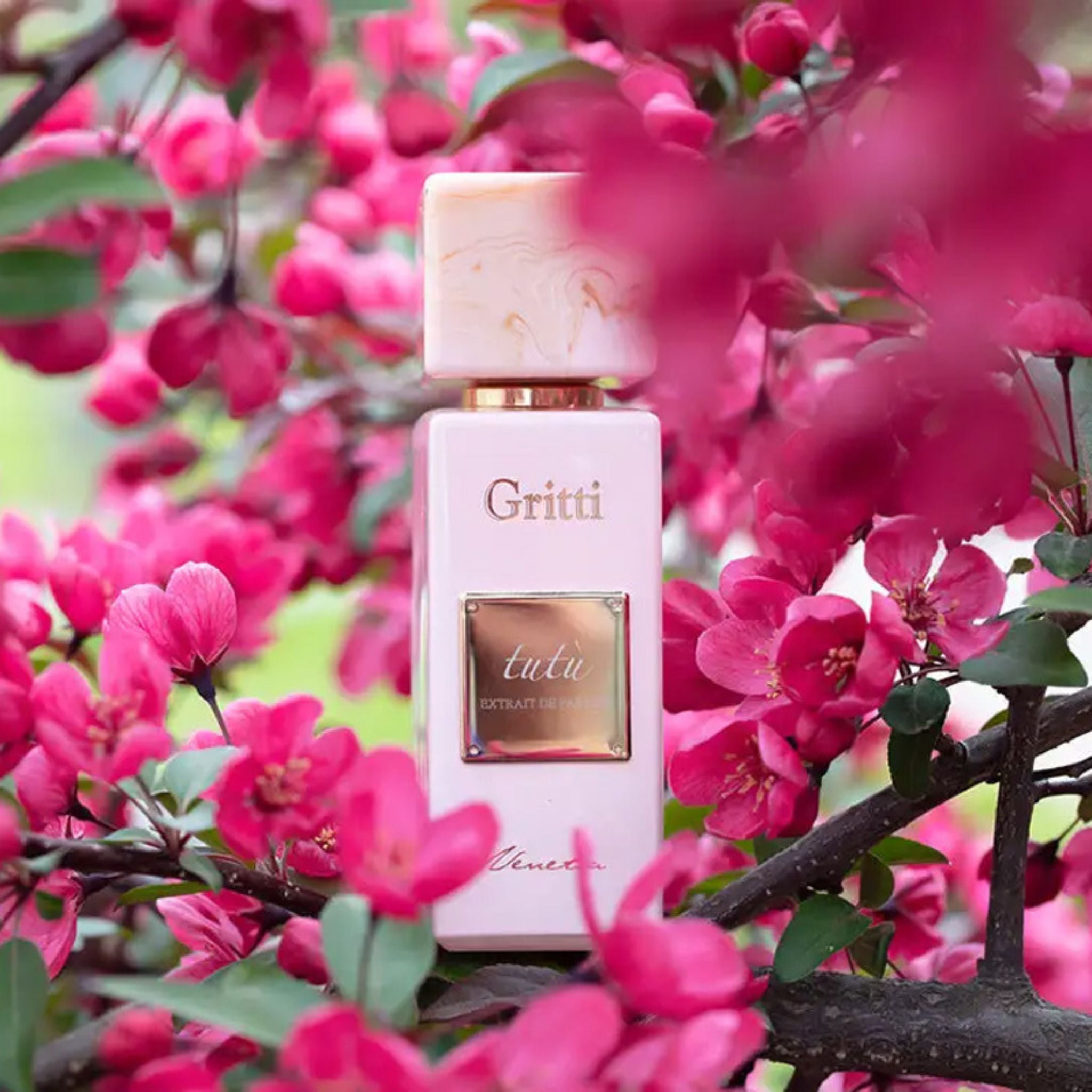 Tutu | Gritti | parfumexquis