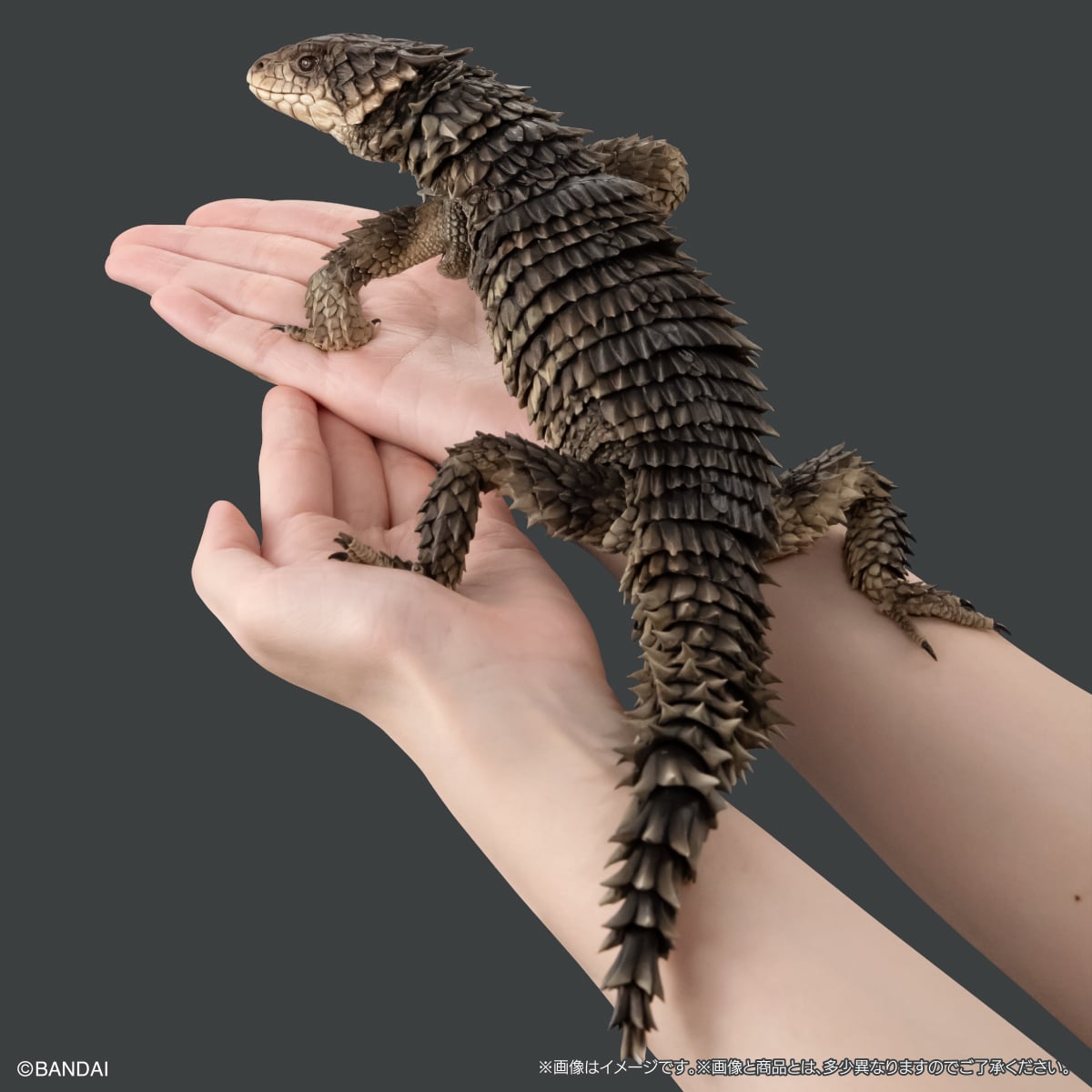 いきもの大図鑑アルティメット オオヨロイトカゲ | ナムコパークス