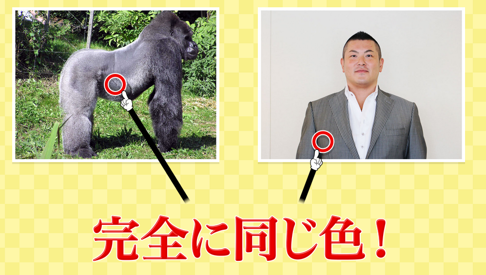 BHBプロデュースのサイト出ました。不動産屋の社長がグレーのスーツを
