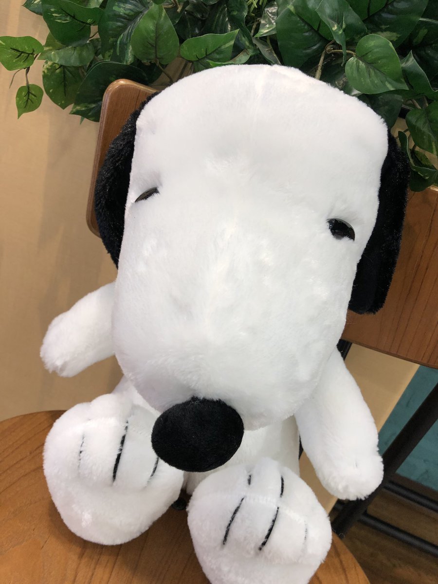 2F プライズ】 新景品『SNOOPYギガジャンボ ふわふわぬいぐるみ』全1種