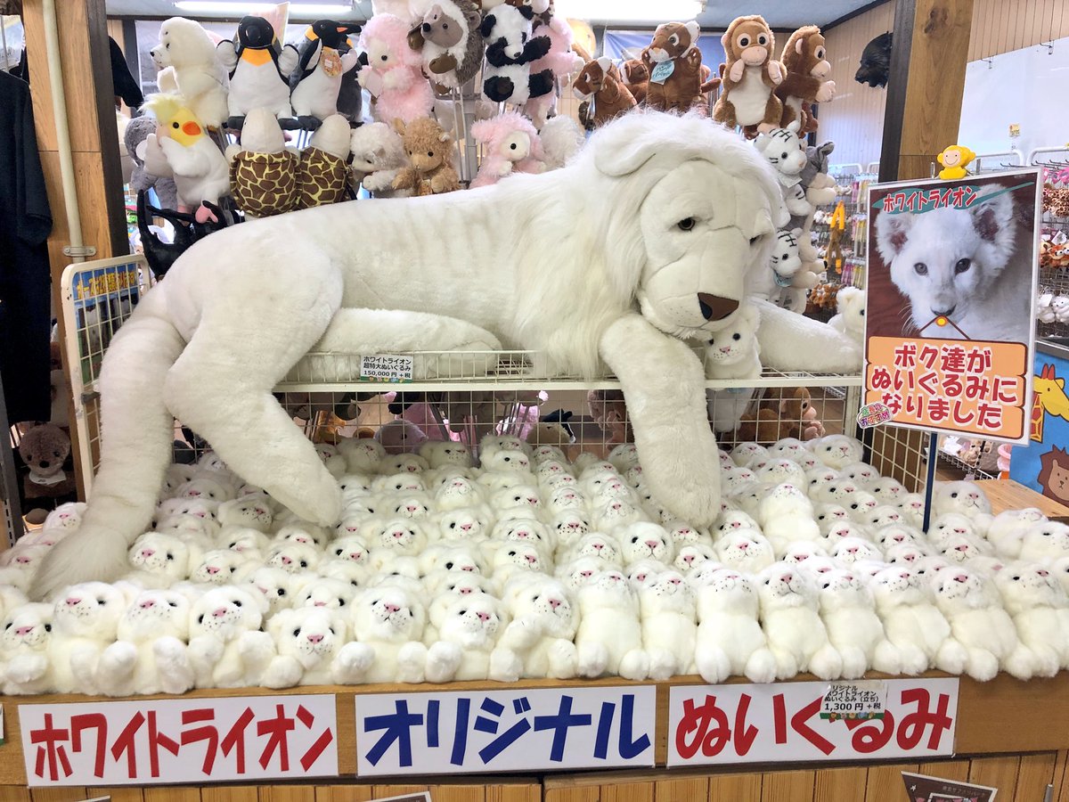 お土産ランキンググッズ編✨ 1位ホワイトライオンぬいぐるみ 2位