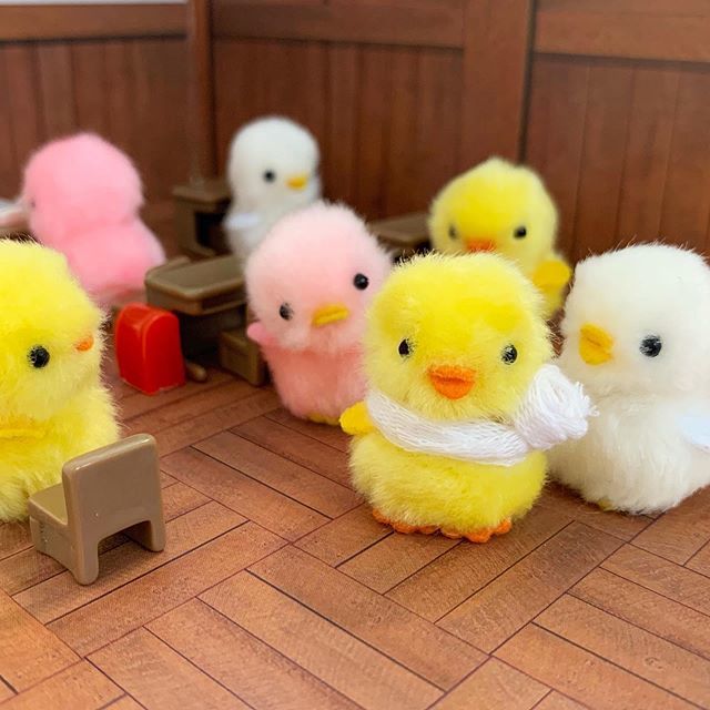 夏休み明けあるある① 久しぶりに会った友達が怪我しがち🐤 #ぴよりー