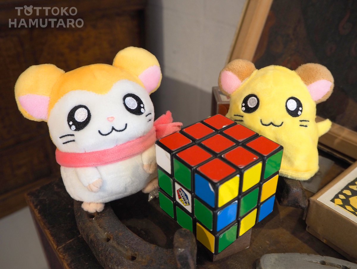 とっとこハム太郎】 ハムちゃんずぬいぐるみのかわいい画像を不定期で