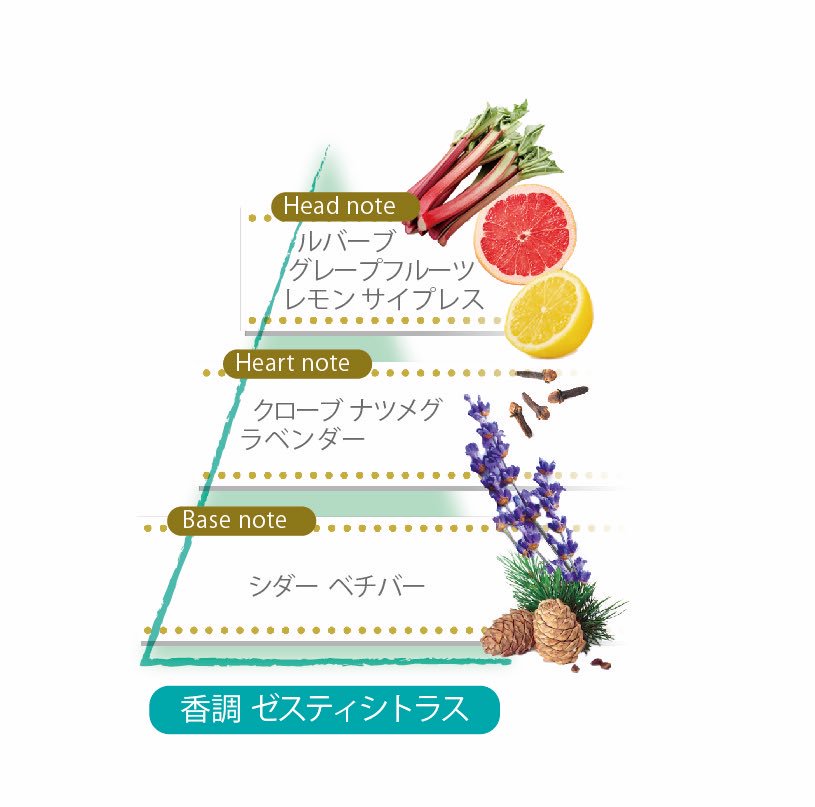 限定復刻✨ ロクシタン×ピエール・エルメ・パリが贈る「パンプルムース