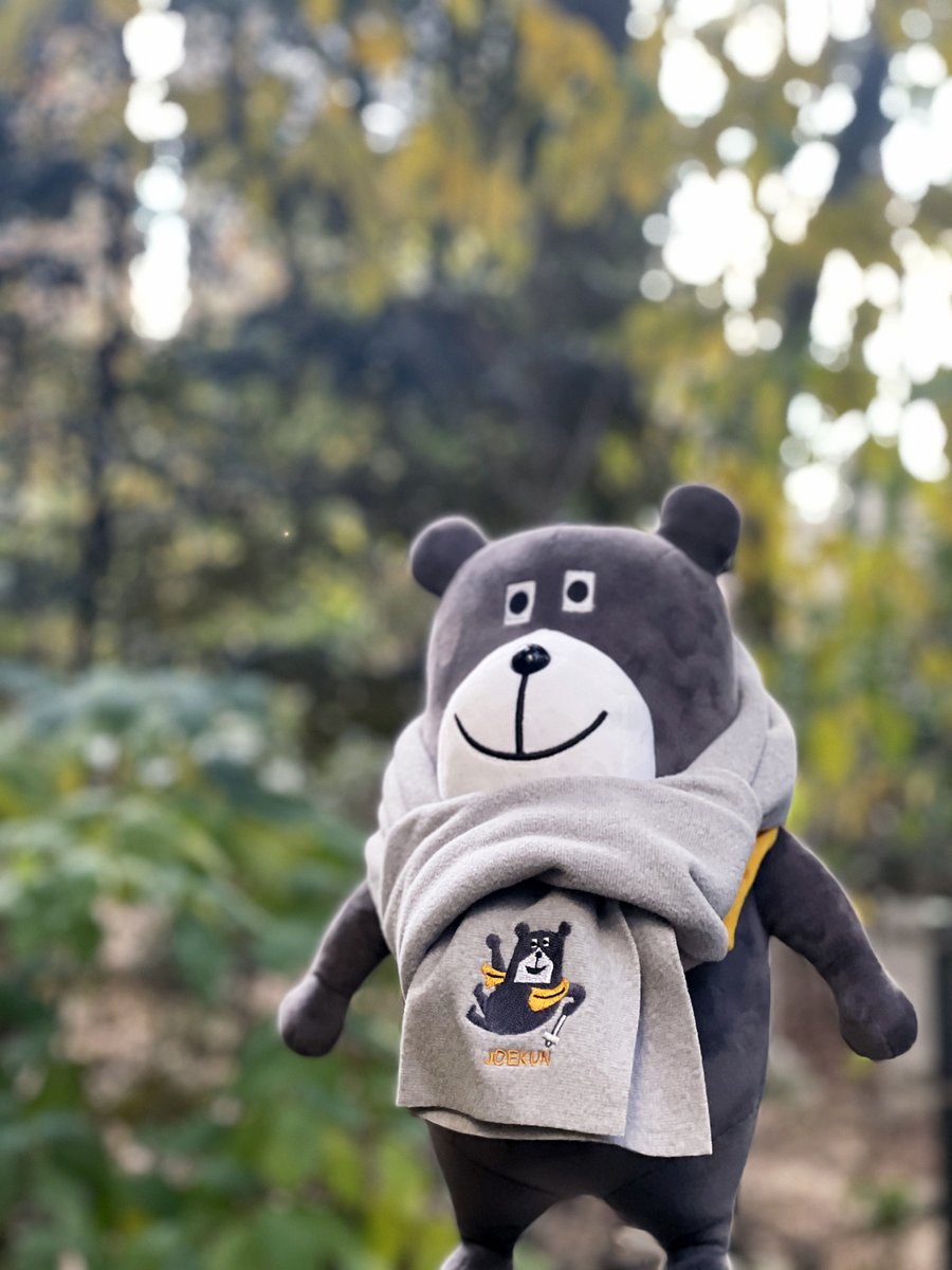 agu@一条工務店グランスマート (@gsm_agu) / Posts / X