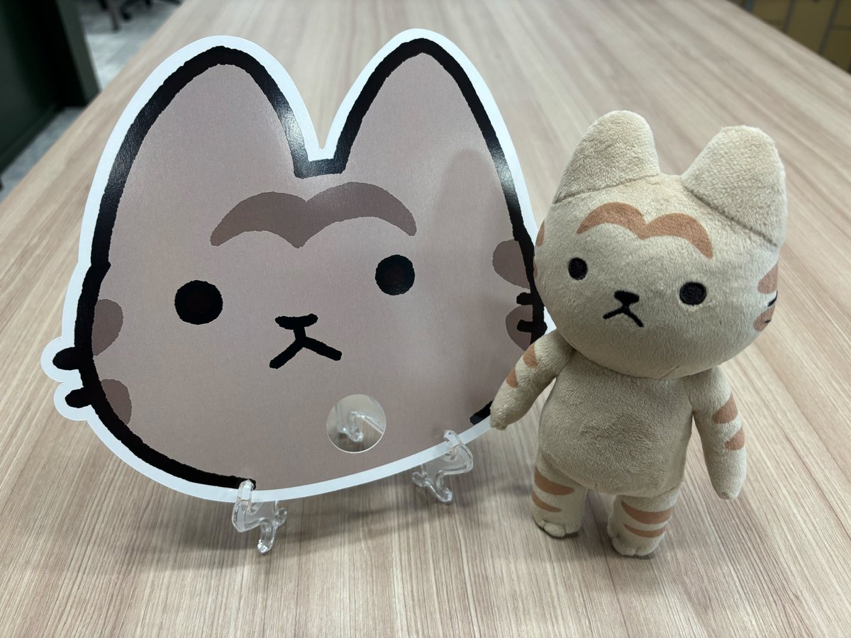 ちゃやまち推しフェスティバル ついに今週末開催！ 初公開のキジトラ