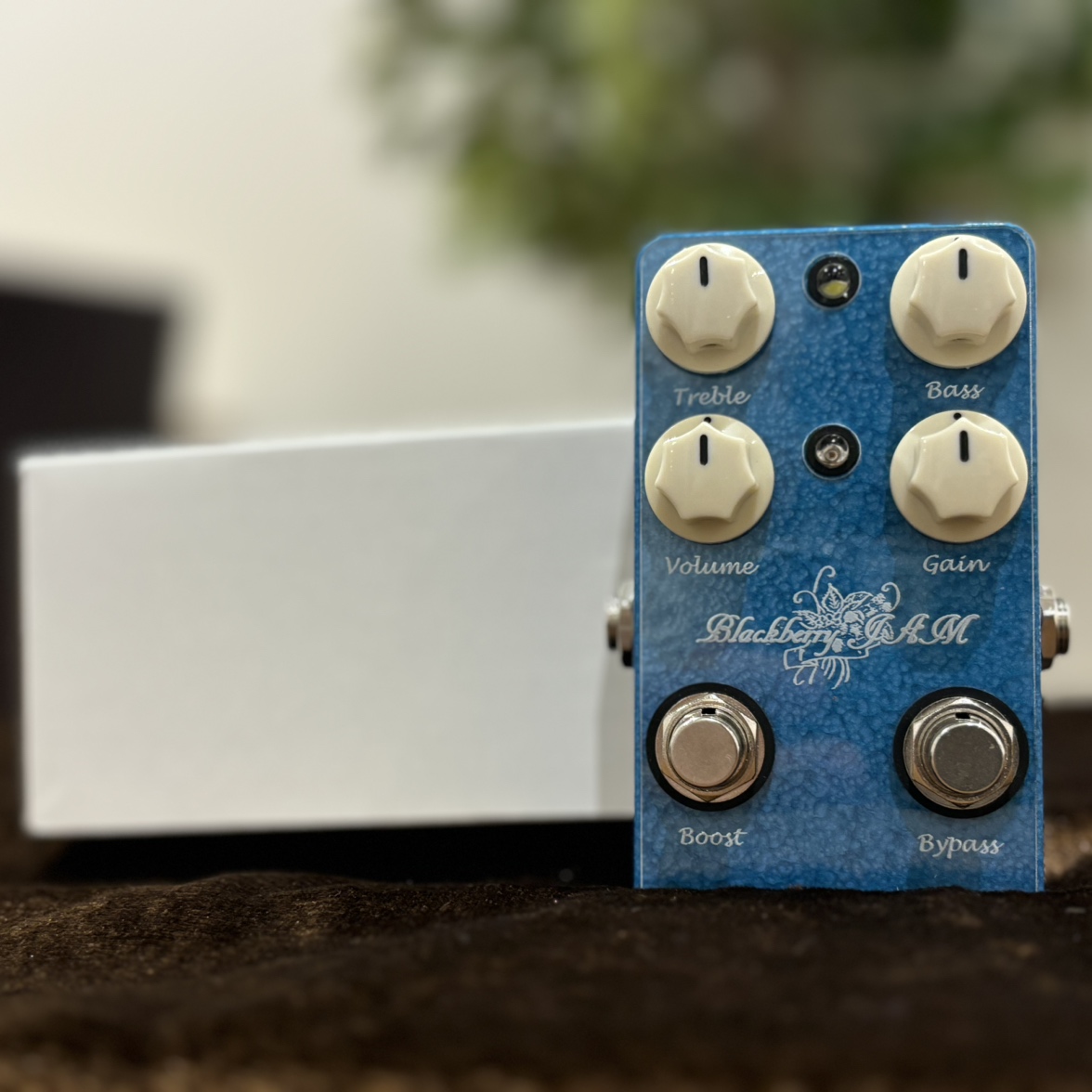 Blackberry JAM Jalousie◇フェンダーサウンド◇ Blackberry JAM