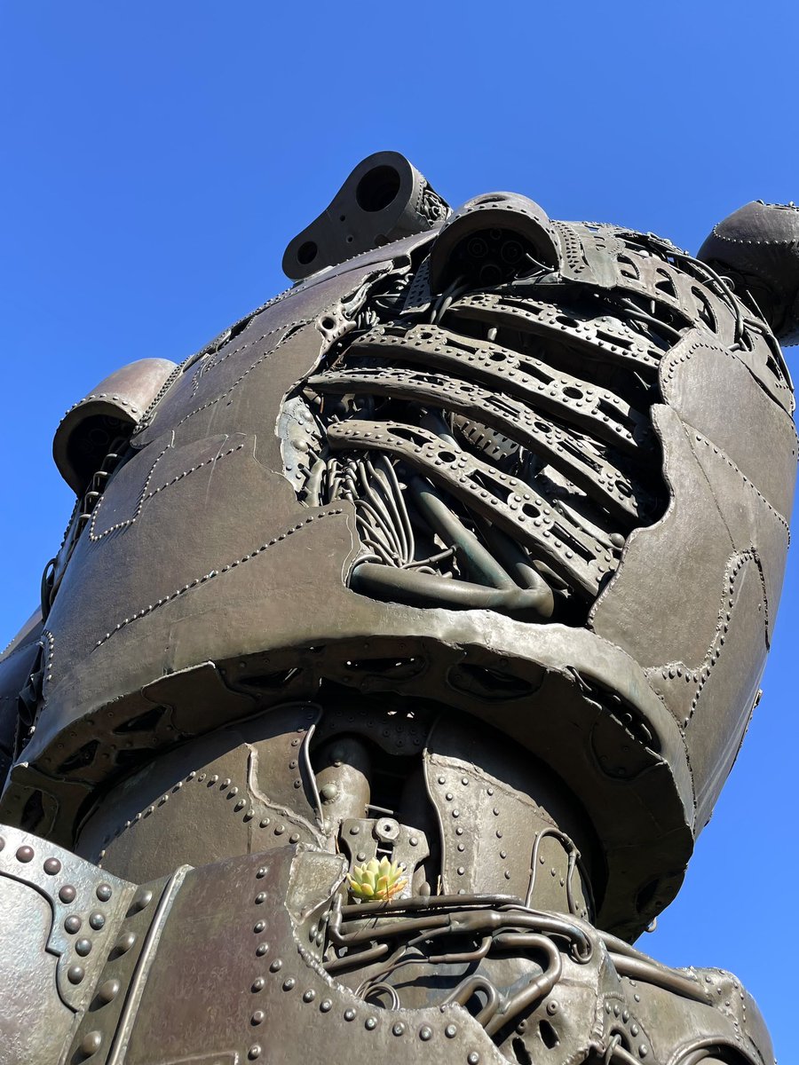 屋上のロボット兵。腰に小さな生命を育てていました。