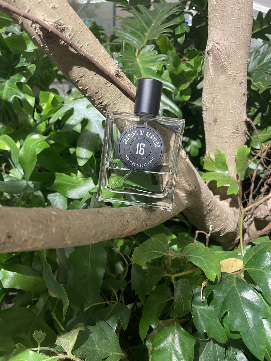 Pierre Guillaume | 16 ジャルダン ドゥ ケリロス もぎたてフレッシュ