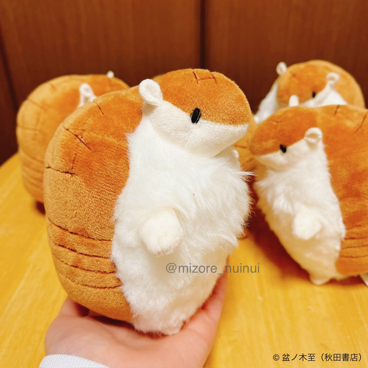 吸血鬼すぐ死ぬのアルマジロのジョンのぬいぐるみの再販許諾頂きました