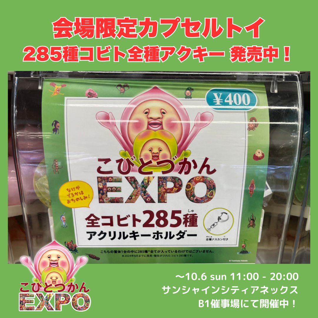 開催中】#こびとづかんEXPO ＠池袋サンシャインシティ アネックス 会場
