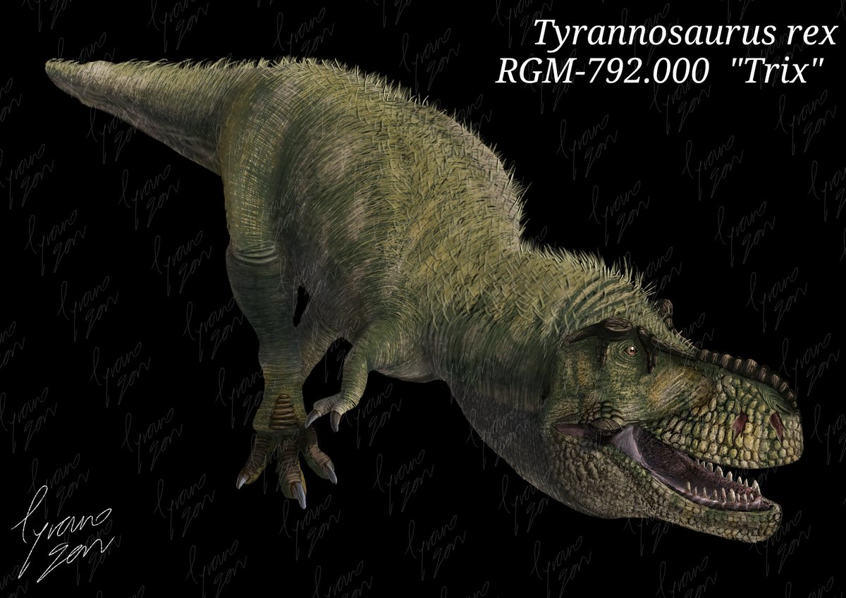 Tyranno-san/ティラノさん (@TYrannoSAn54342) / Posts / X