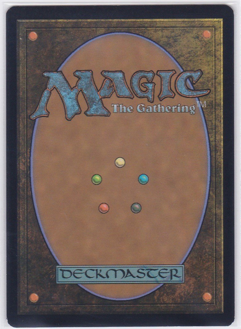 🎉感謝の毎日UP 第1,561弾！🎉 本日のご紹介は… 🔥『喜ぶハーフ