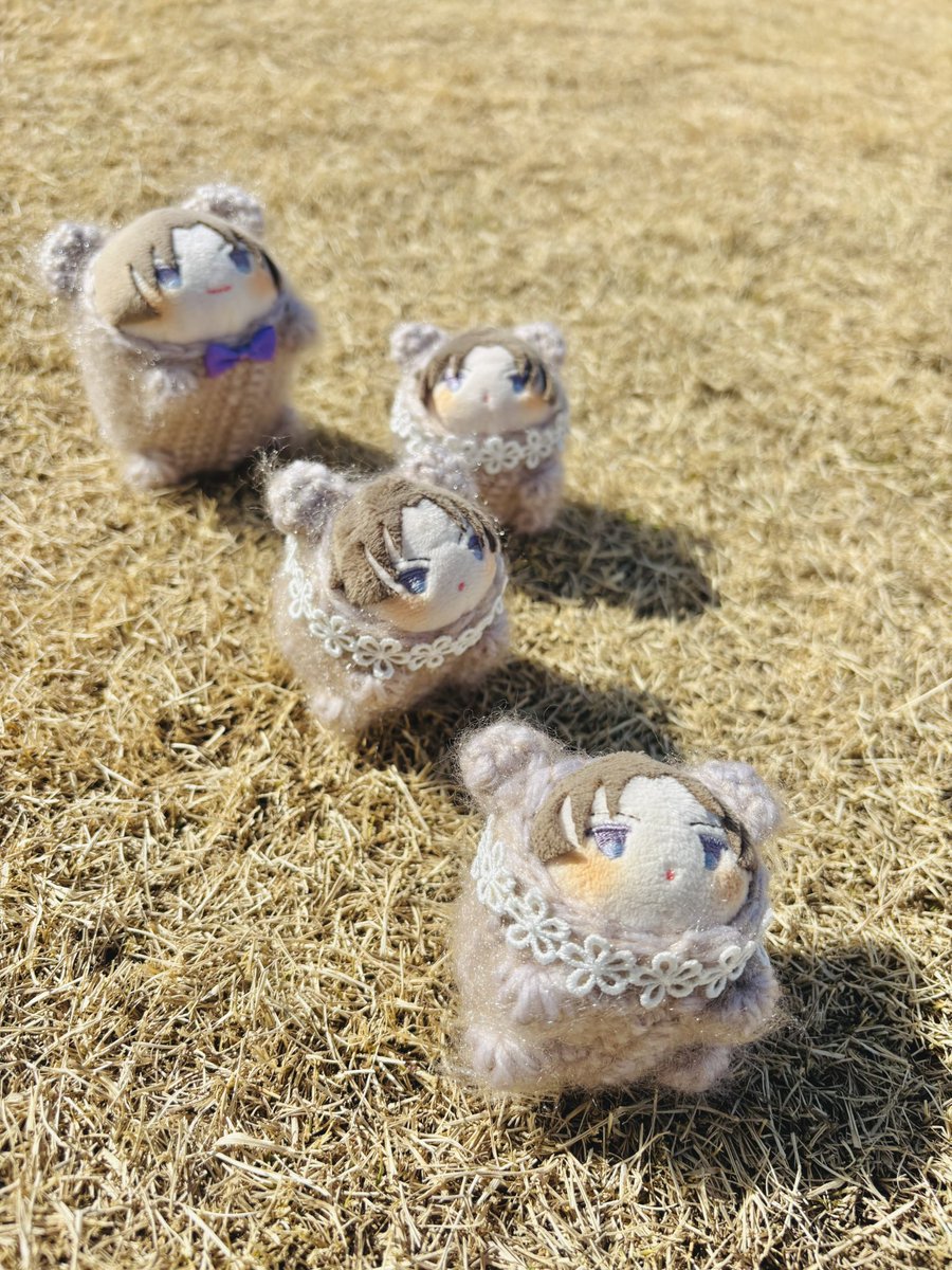 おはよう☀️ 金曜日がやってきたよ