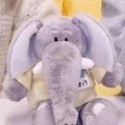 パオぞう (@paopaozou_) / Posts / X