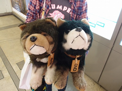 ぬいぐるみ 南極物語 タローとジロー 2体セット 南極物語 タローと