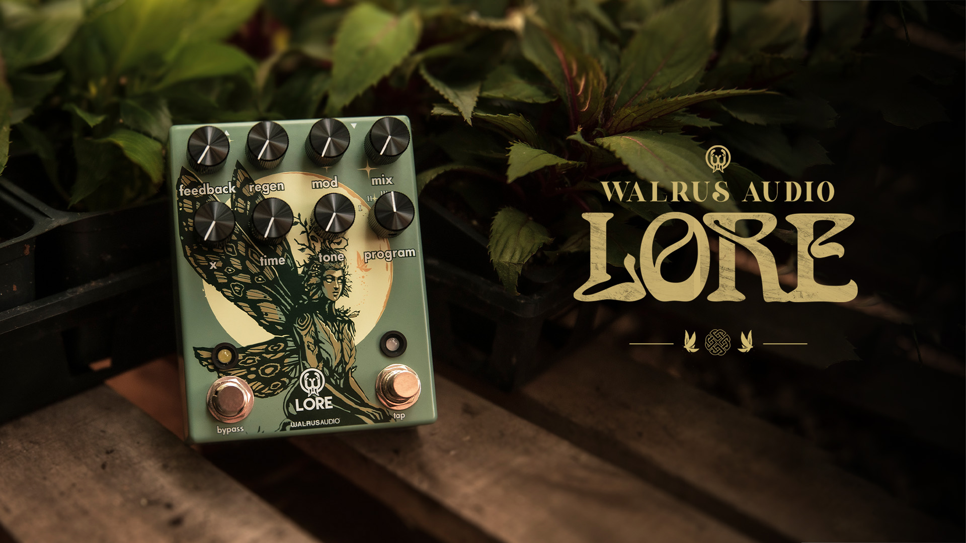 Lore Reverse Soundscape Generator | WALRUS AUDIO