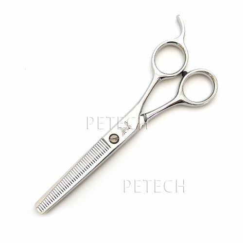 000000000869-01-l.jpg?t=