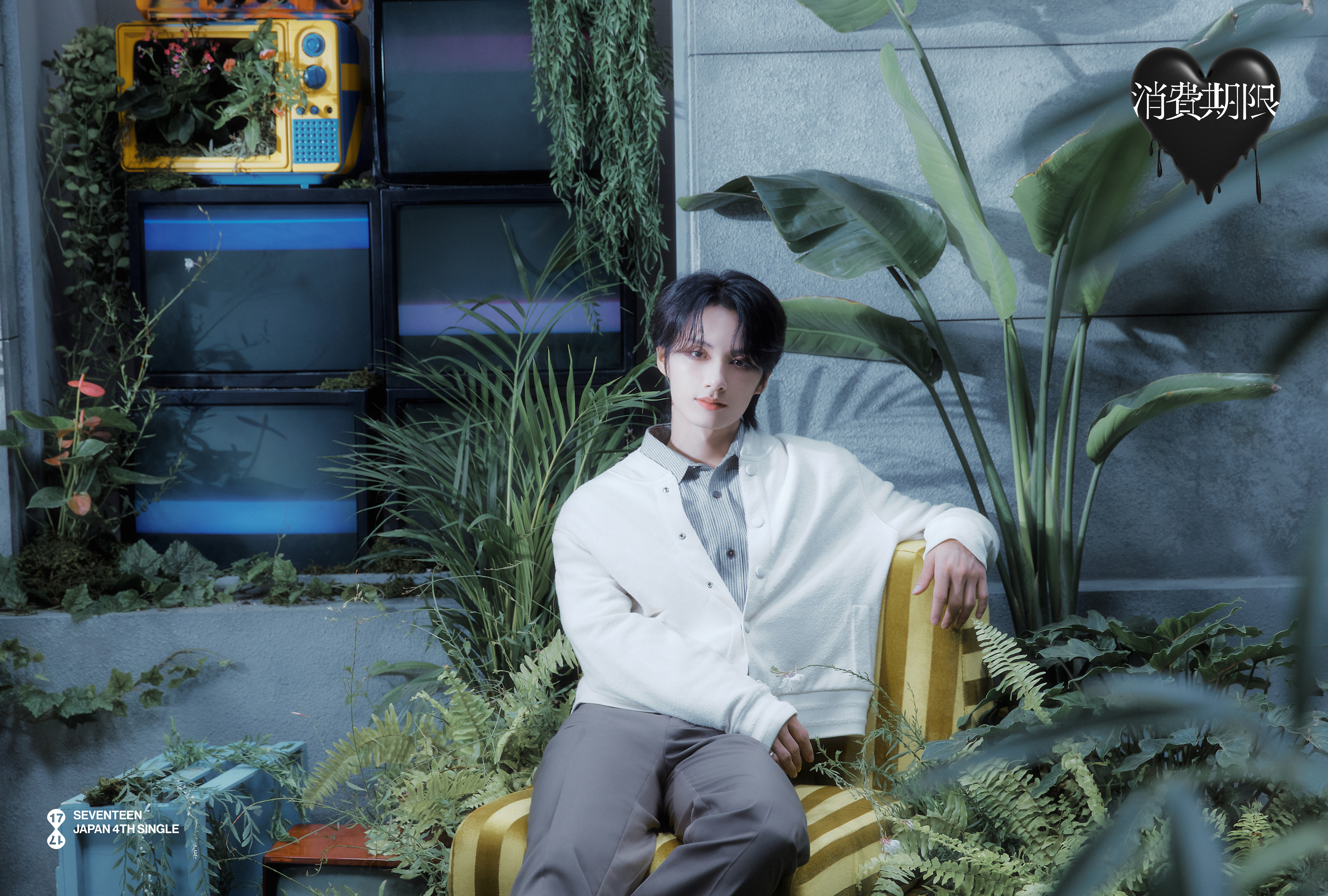 Weverse SEVENTEEN Image - SEVENTEEN JAPAN 4TH SINGLE 「消費期限