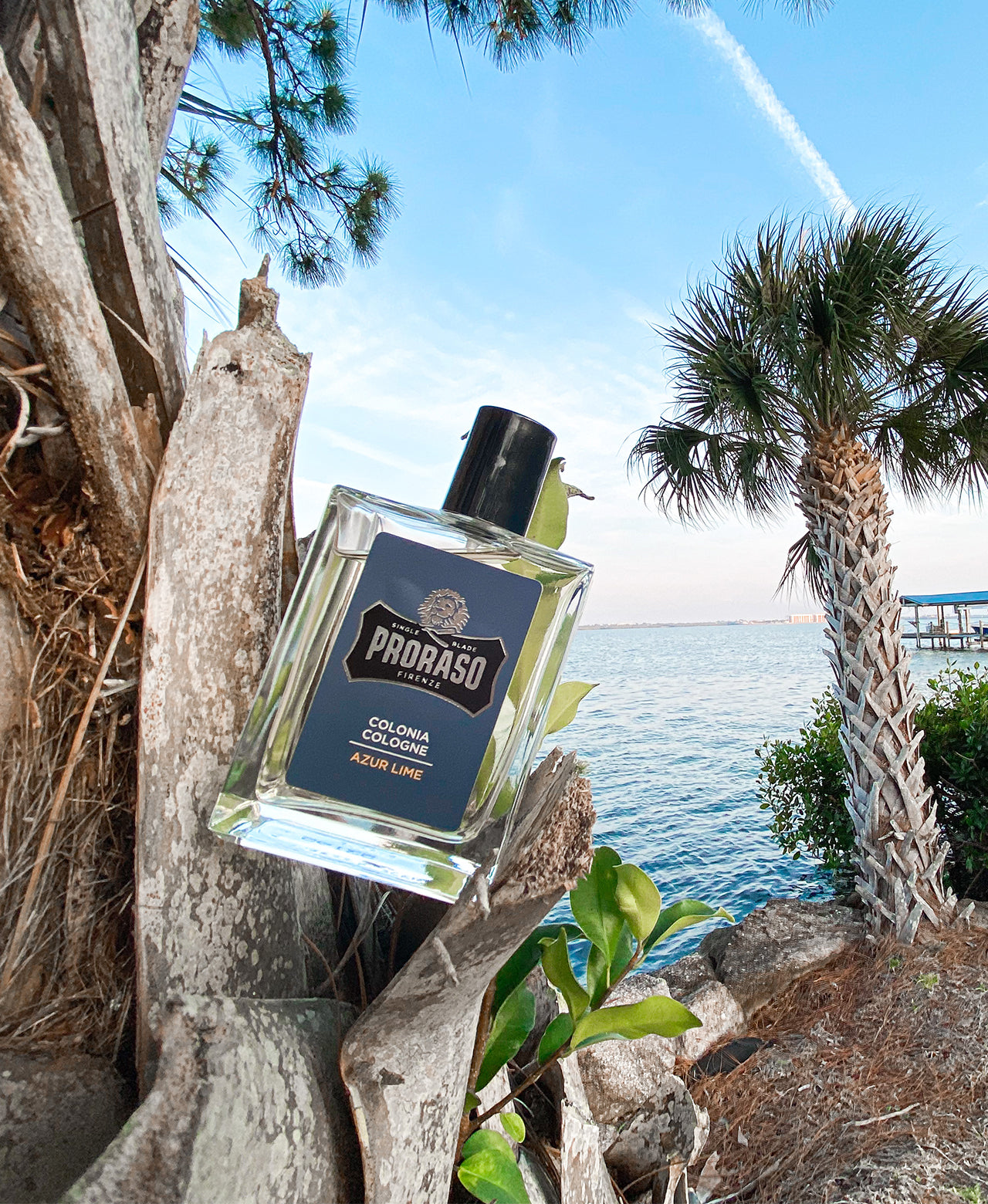 Cologne: Azur Lime