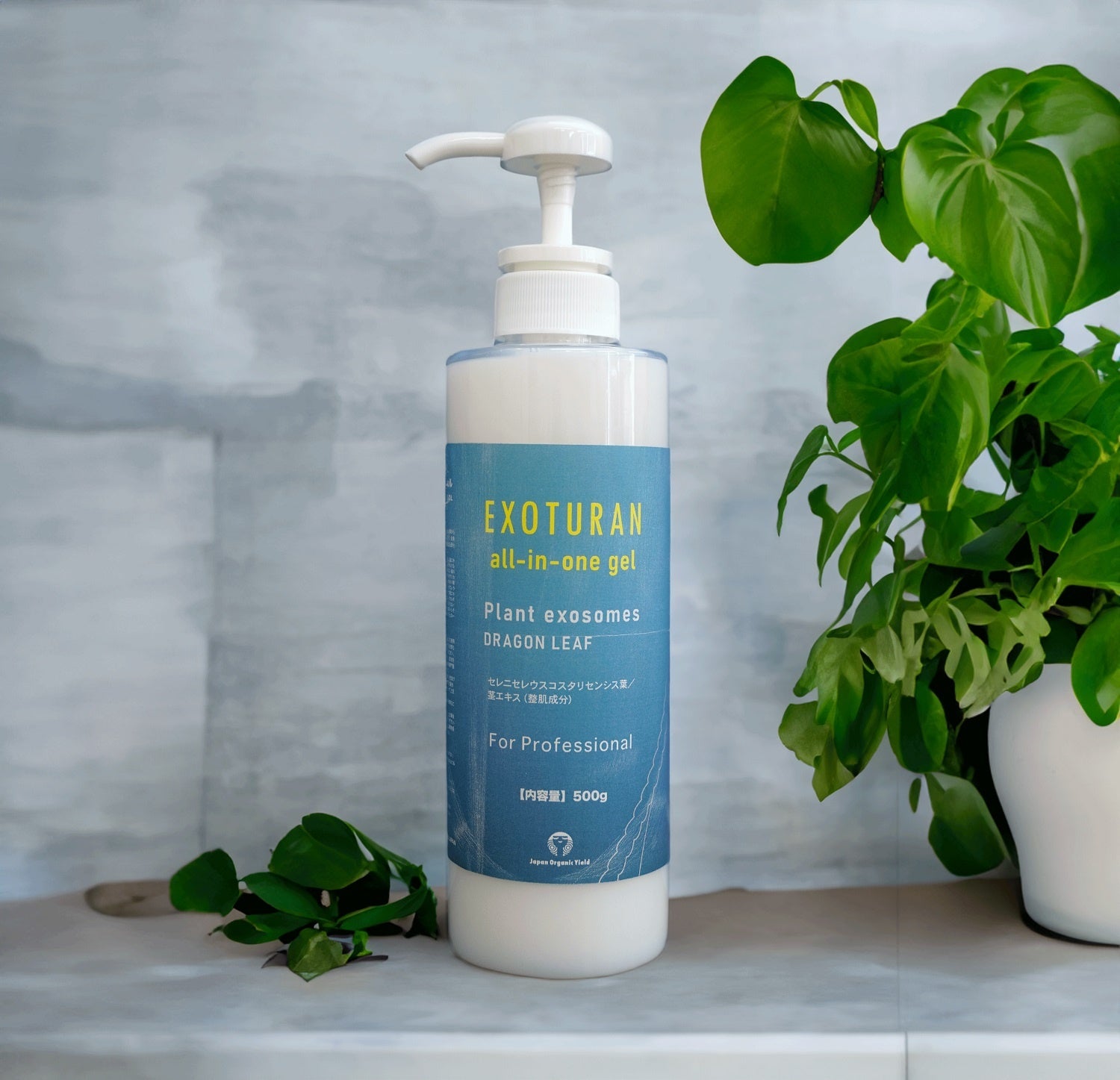 ドラゴンフルーツ葉茎由来抽出液を主原料とした「EXOTURAN（エクソ