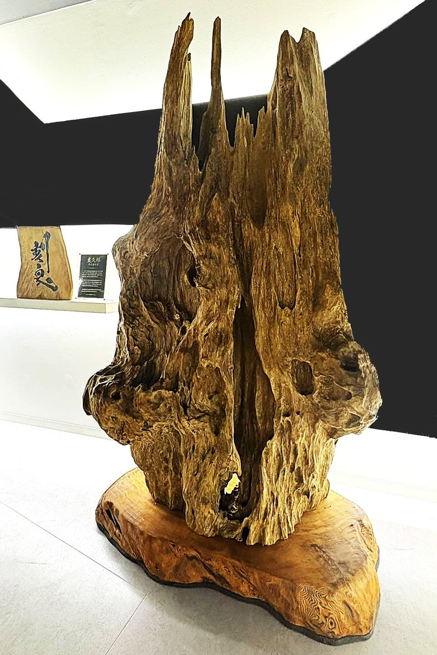 銀座に1,300年ものの屋久杉オブジェ「千三百年龍」を特別展示！2024年