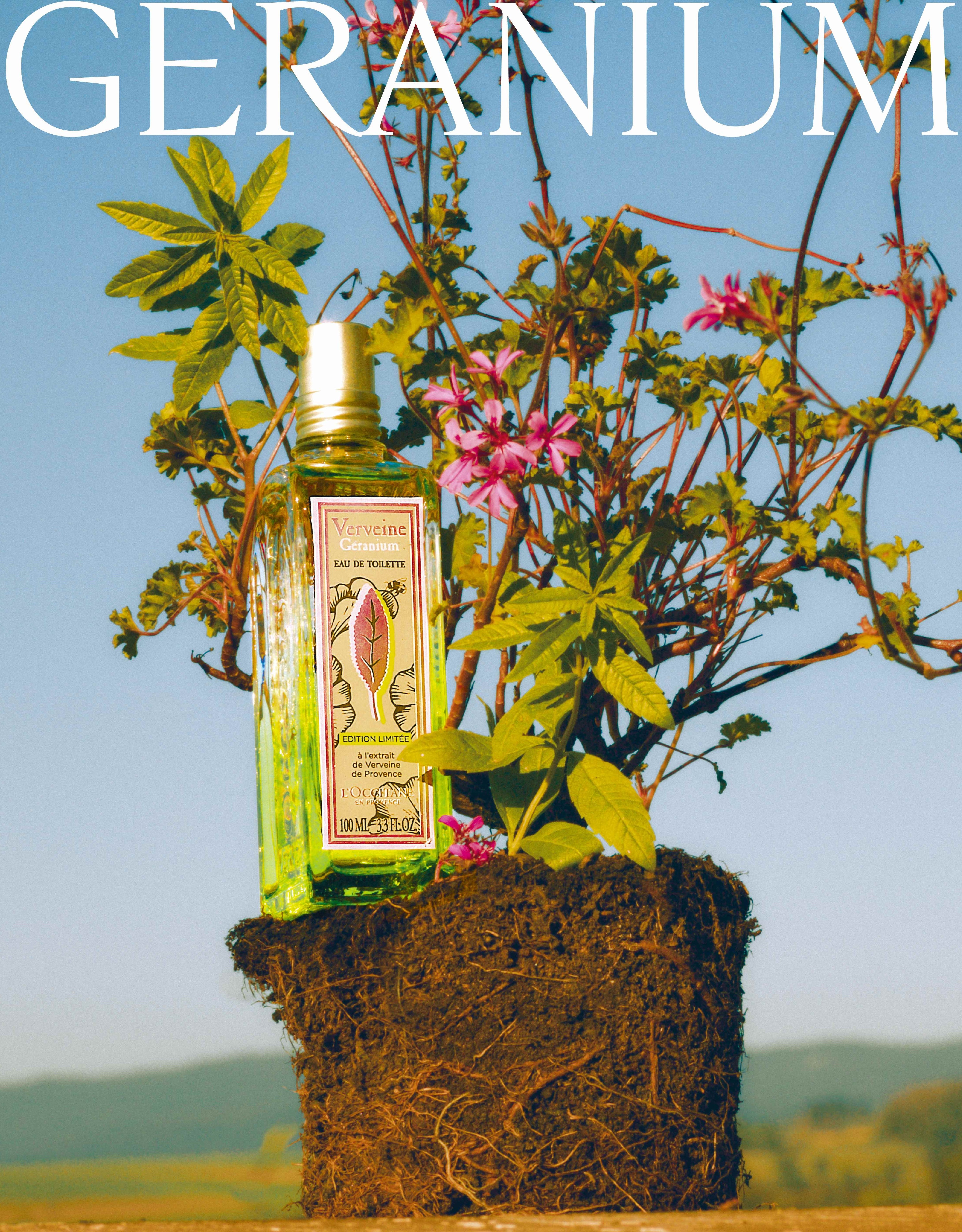 季節のゆらぎ、心を凛と整える。甘いゼラニウムと爽やかなヴァーベナ