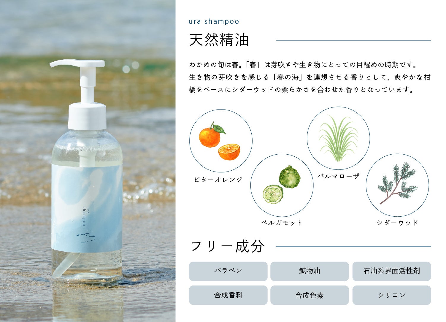 陸前高田発！未利用わかめから生まれたアップサイクル・ヘアケア商品の