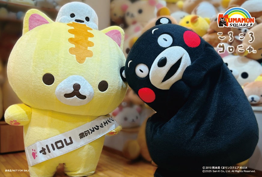 サンエックス広報の「コロニャ」がくまモンの誕生日イベントに登場