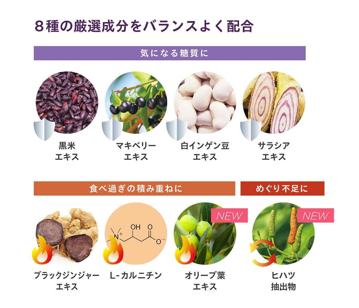 美味しいも、キレイも、手に入れる。糖質・脂質対策サプリメント