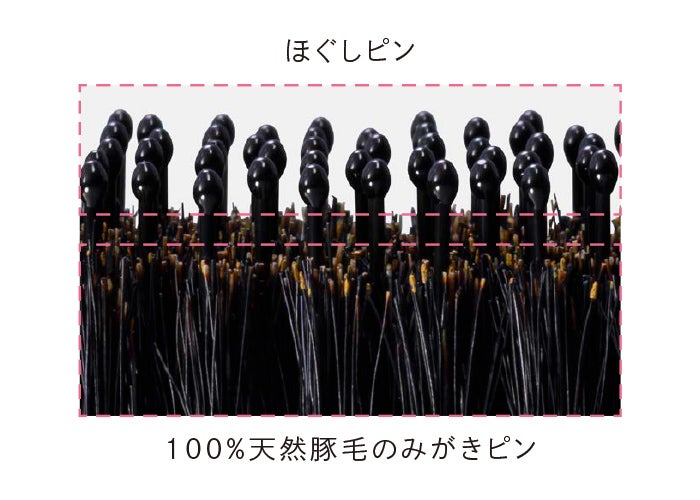 天然毛でみがく。​とかすたび、上質なツヤメイク 「ReFa AILE BRUSH