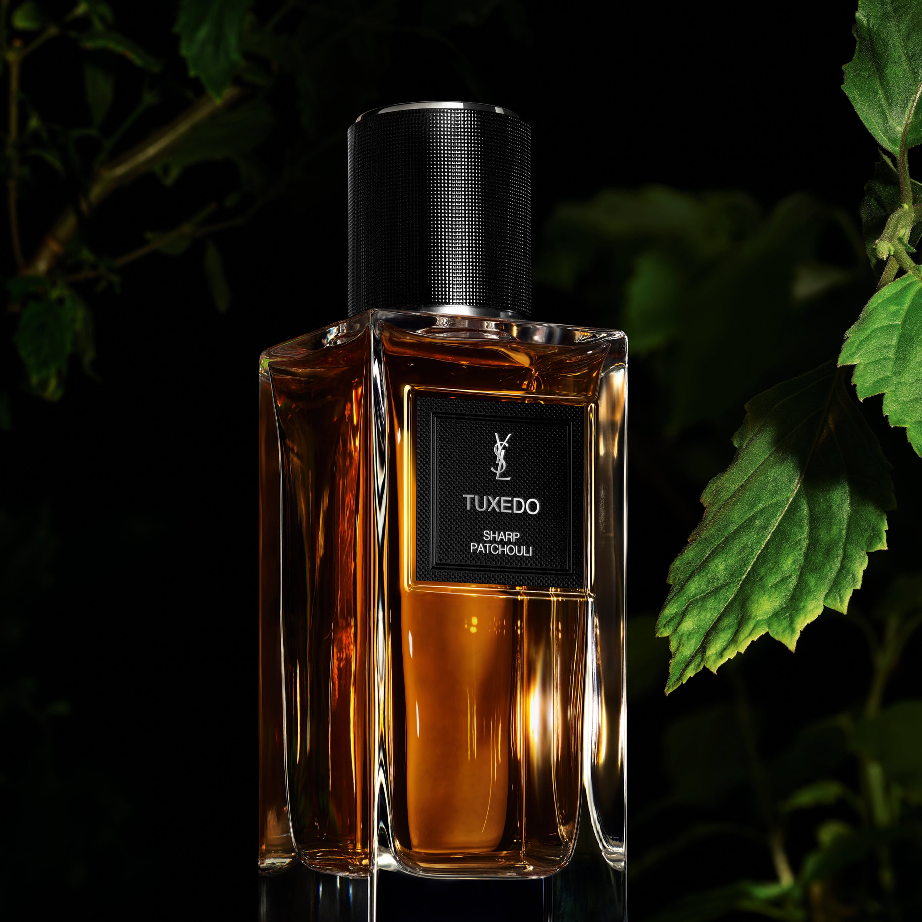 YSL BEAUTY】ジェンダーレスなクチュールフレグランス「ル ヴェス