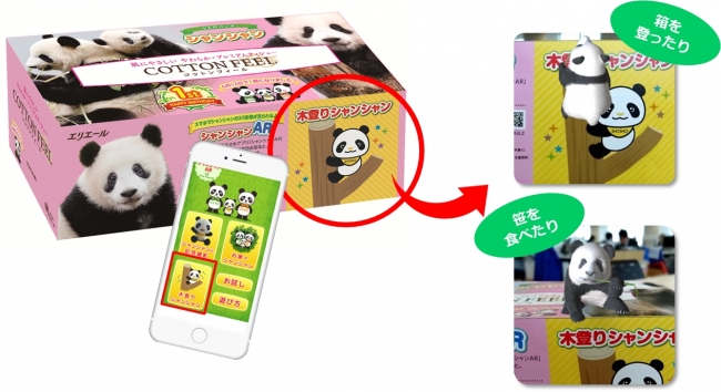 上野動物園の子パンダ「シャンシャン」BOXティシュー第2弾 コットン