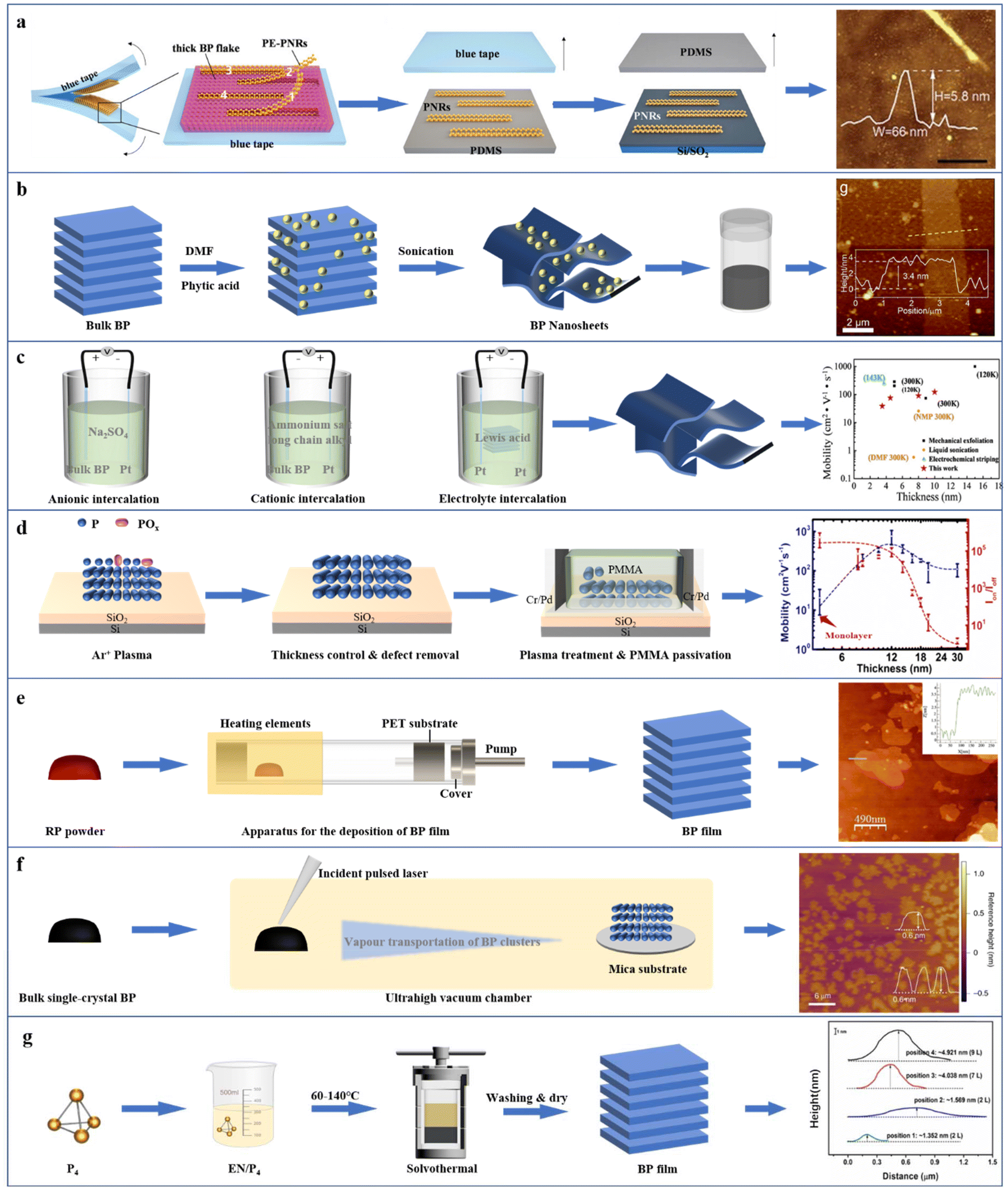 An updated review of few-layer black phosphorus serving as a