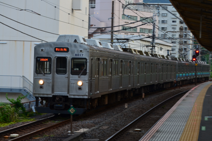 伊豆急行 クハ8017 (伊豆急8000系) 車両ガイド | レイルラボ(RailLab)