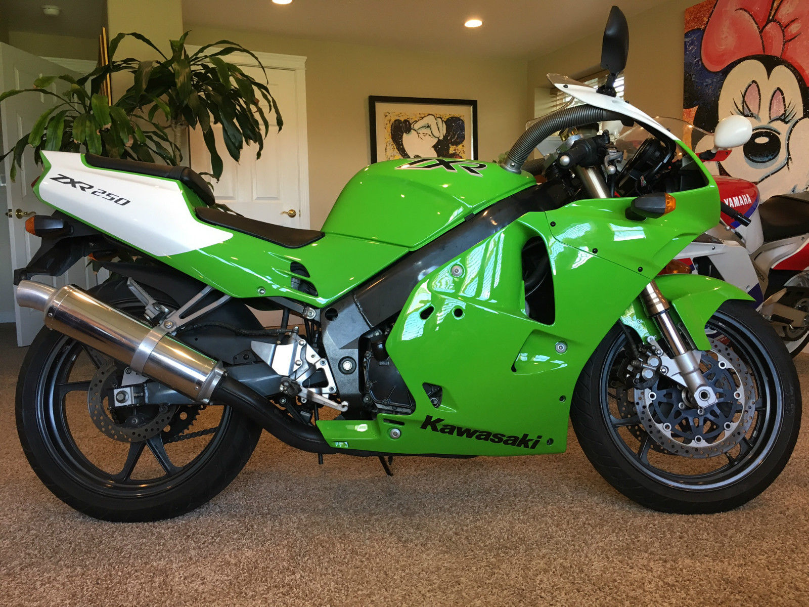 Tiny and Green: 1994 Kawasaki ZXR250 for Sale - Rare SportBikesForSale