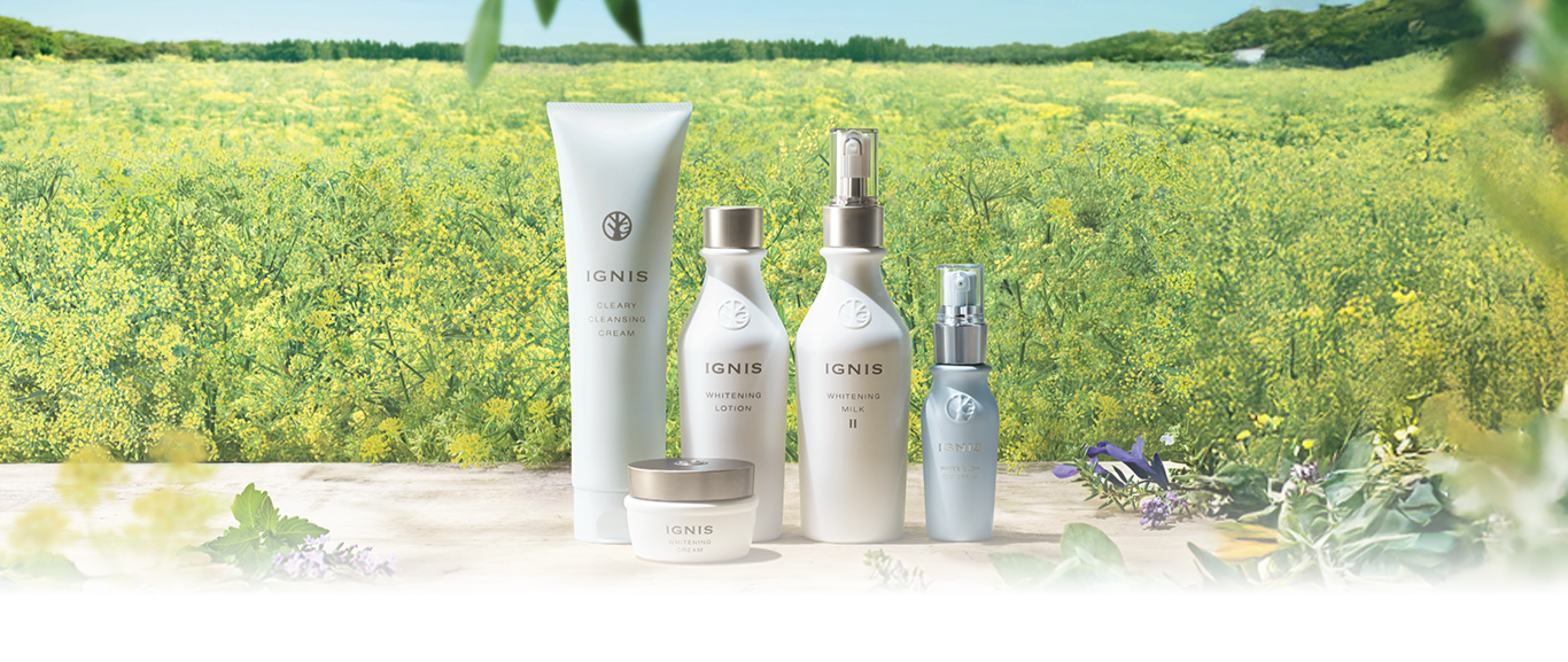 イグニス 商品ヒストリー | アルビオン創立70周年 特設サイト