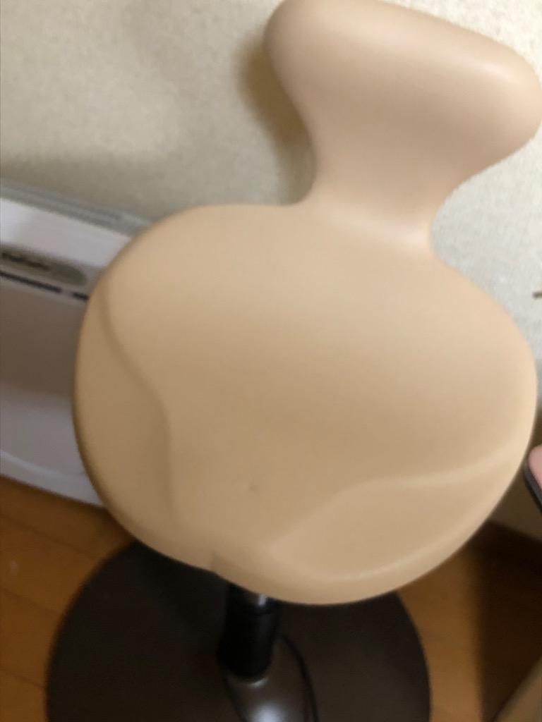 保阪尚希 監修 美フォーム スクワット / マシン 器具トレーニング 足