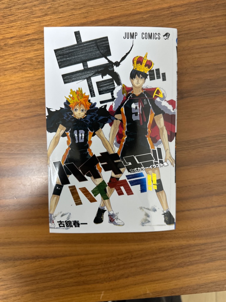 ハイカラ！！ ハイキュー！！公式カラーイラスト集 （ジャンプ