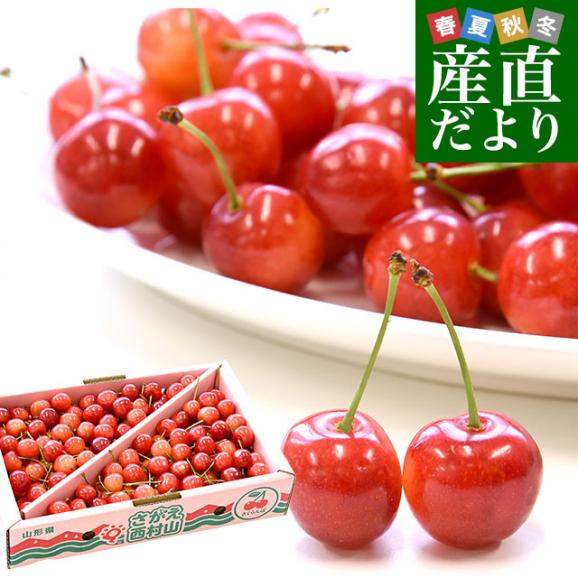 山形から産地直送 山形県JAさがえ西村山「さくらんぼ佐藤錦」 マル秀品