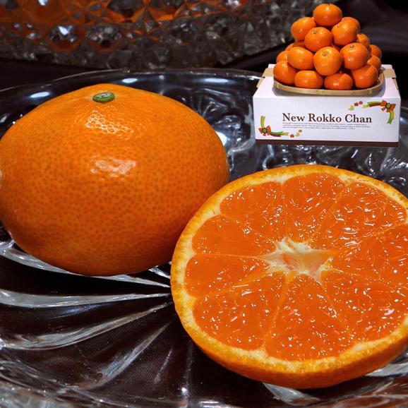 みかん様確認用☆ みかん様 ミカン みかんページ ミカン様 ミカン様