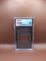 Flesh And Blood - Graded Card CGC 9 - Channel Lake Frigid