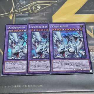 究極竜魔導師 シークレット」の激安通販 | magi