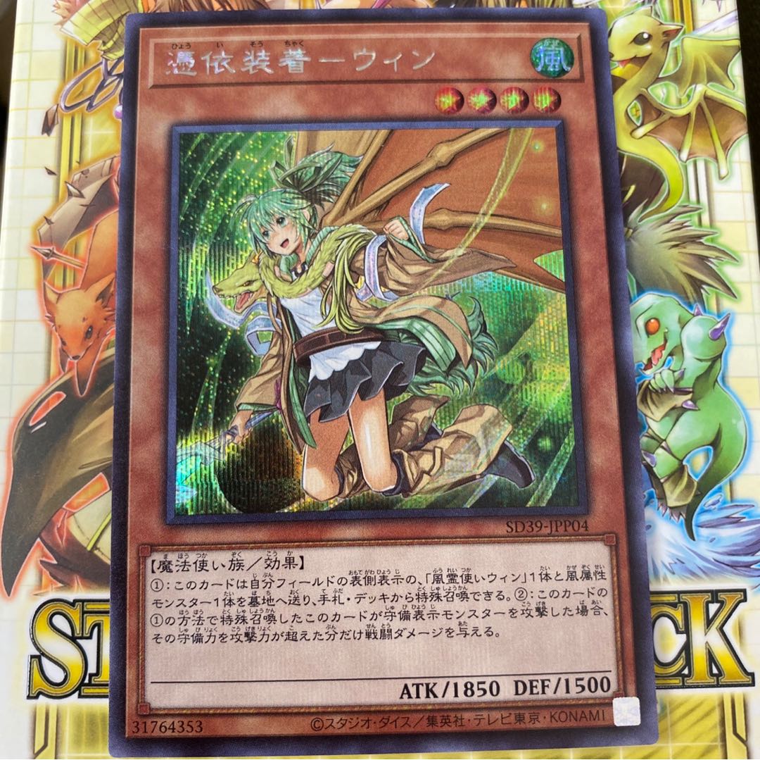 憑依装着-ウィン シークレット 絵違い 1枚の通販 池ピーちゃん 引退品