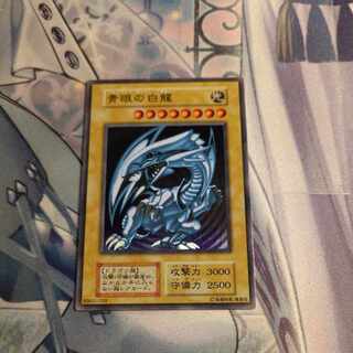 青眼の白龍 ステンレス」の激安通販 | magi