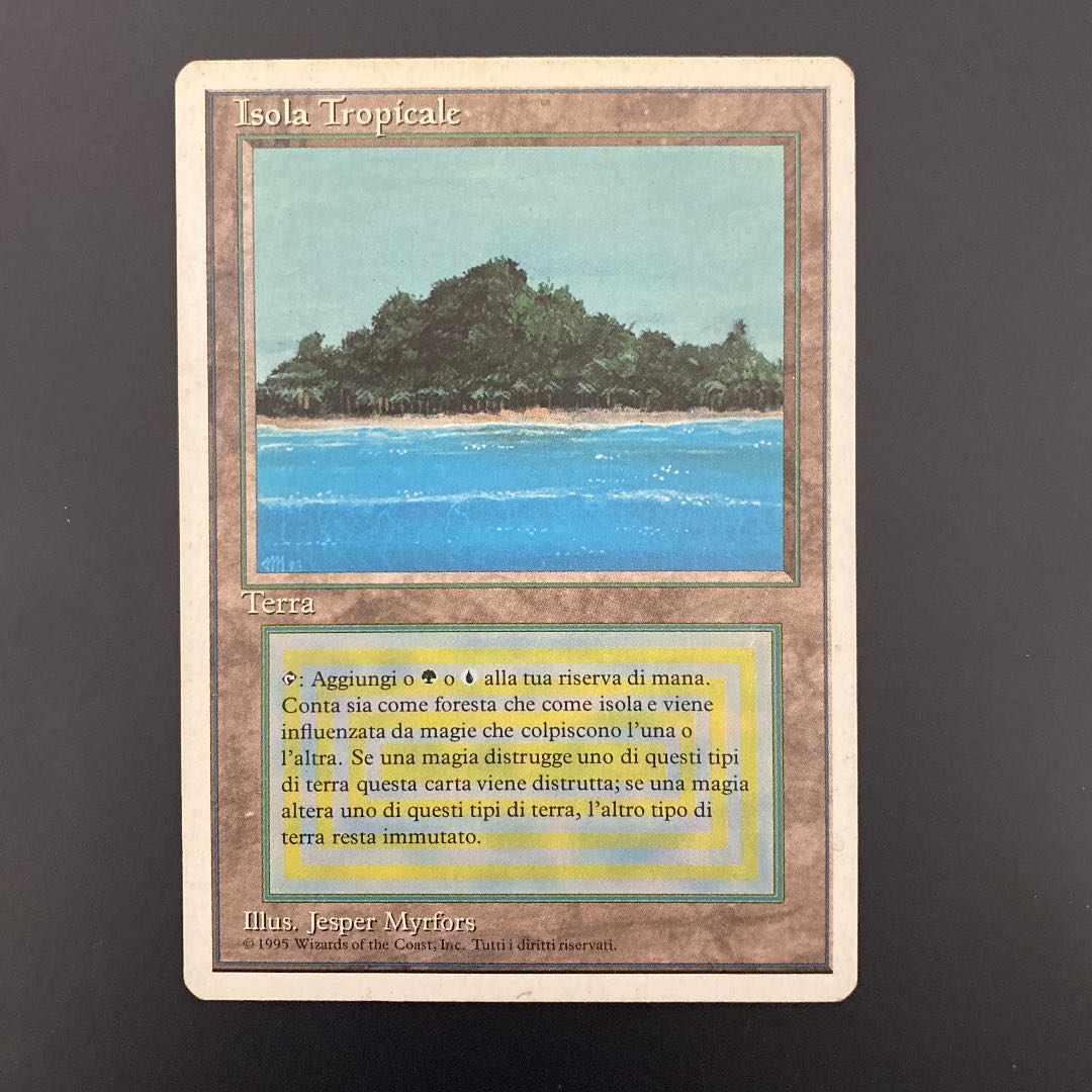 Tropical Island BGS9.5 デュアルランドTropical 英語 デュアルランド