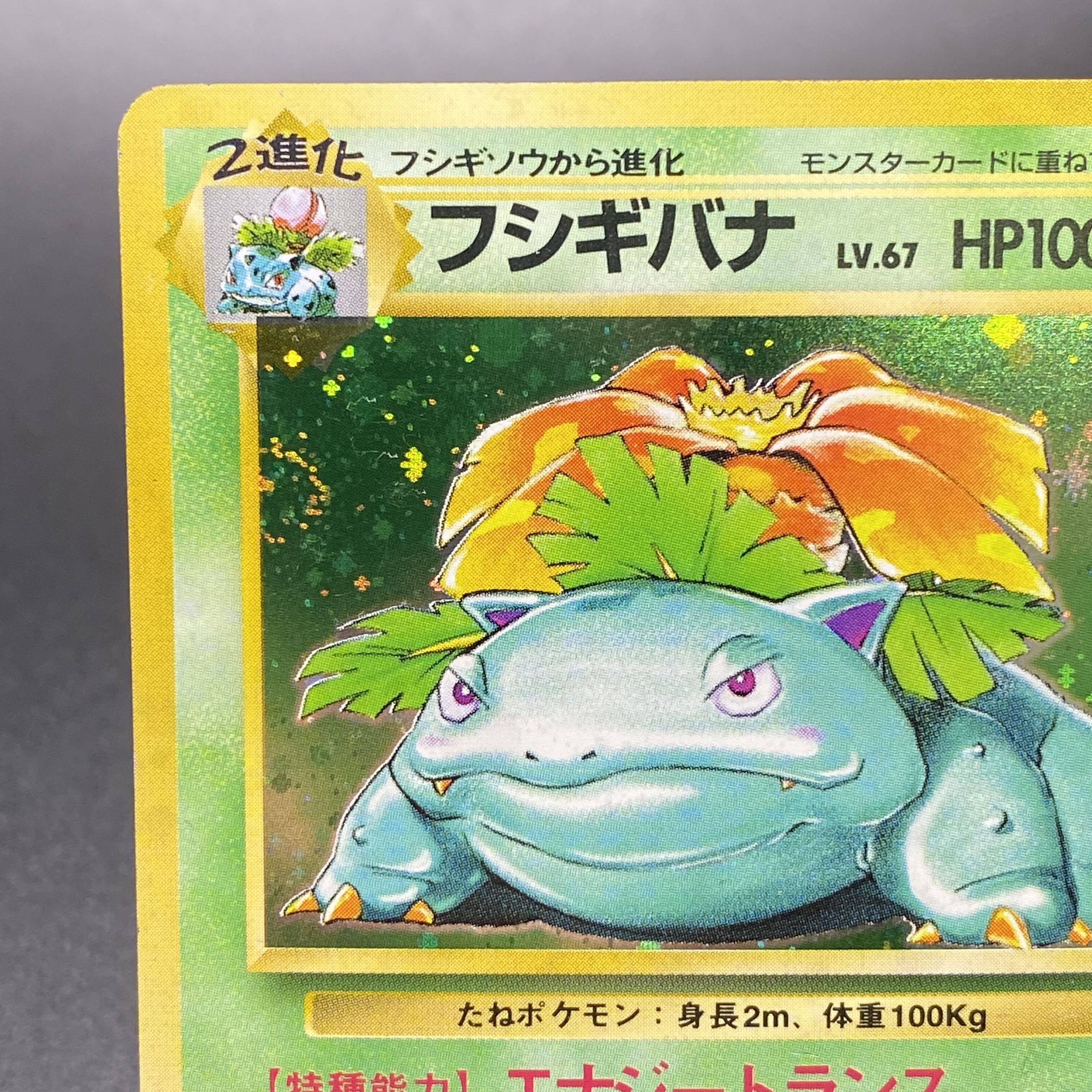 フシギバナ 旧裏 初版 マーク無し 1枚の通販 土日祝休 magi公式(委託